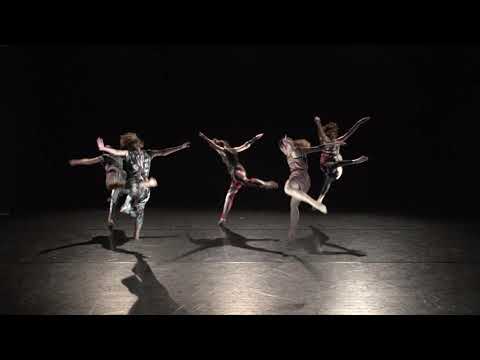 Synchronized beats / Összehangolt lüktetések - trailer