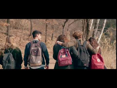 WIR SIND IMMER BEI EUCH - Stol Online-Nachrichtenportal