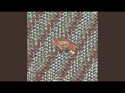 Call Home - Covey