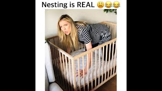 NESTING IS REAL!!!!!!
