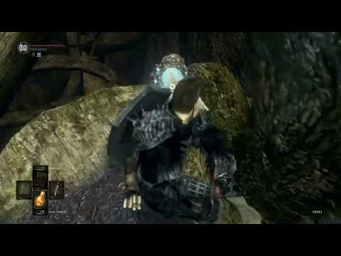 The Annoying Process of Collecting All 10 Crystal Lizards in The Great Hollow- Dark Souls Remastered