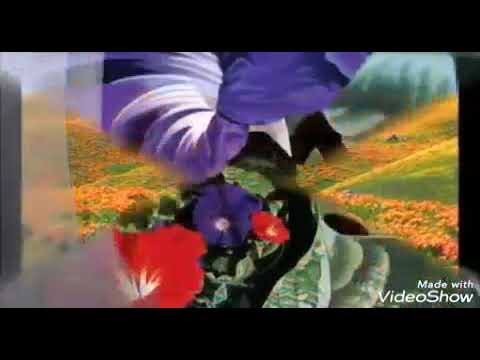 Impossivel te Esquecer video