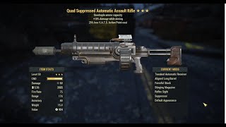 Fallout 76 Super Duper Assault Rifle Showcase