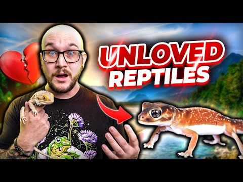 Top 5 LEAST Popular Reptiles That You Didn't Know Existed, But Make AMAZING Pets!