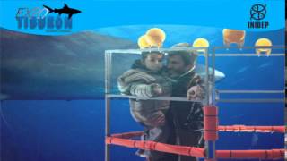 DIA 2 Expo Tiburon114