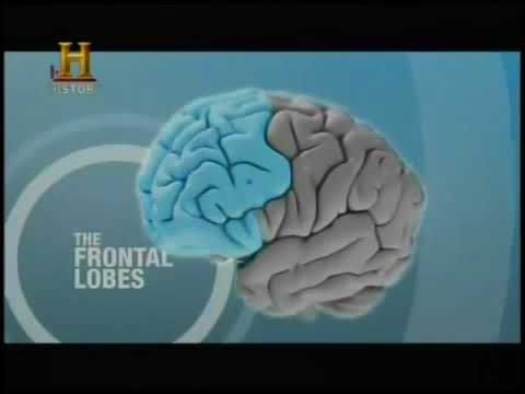 O CÉREBRO   Documentário do History Channel completo