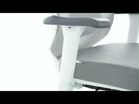 Миниатюра изображения товара Кресло офисное Evolution HybridFlex (белый)