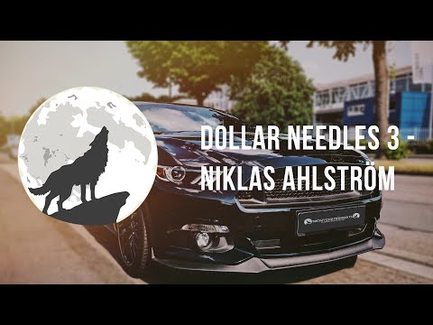 Dollar Needles 3 - Niklas Ahlström
