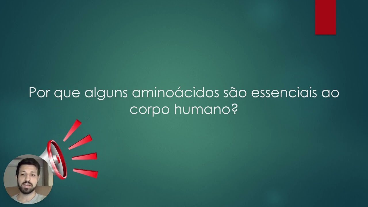 Giuseppe Potrick Stefani-7