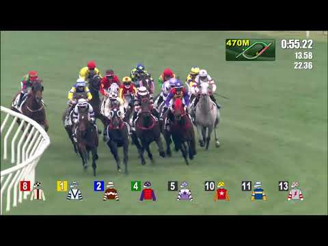 27/12/2021 (287) Sight Spirit - J Moreira