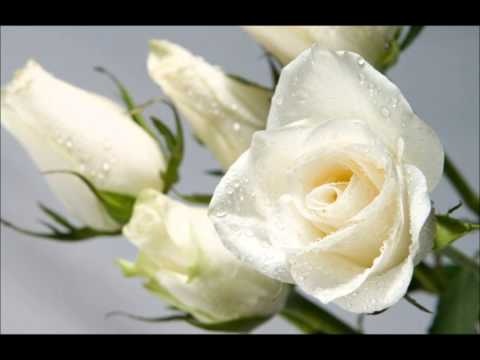 Escape feat Rosano. Wundervoll