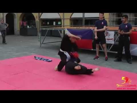 Symon Kwoon - Mostra Artigianato Soragna 2015