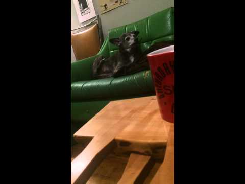 Dexter's rehearsals behind the scenes...