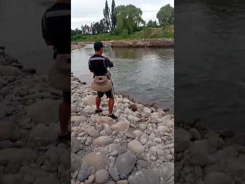 pesca sector buena fe Molina maule