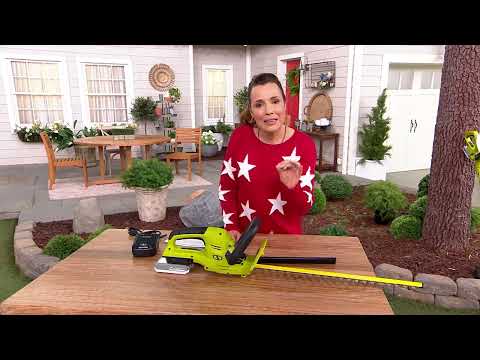 Sun Joe 24V 22" 2.0-AH Cordless Dual- Action Hedge Trimmer on QVC