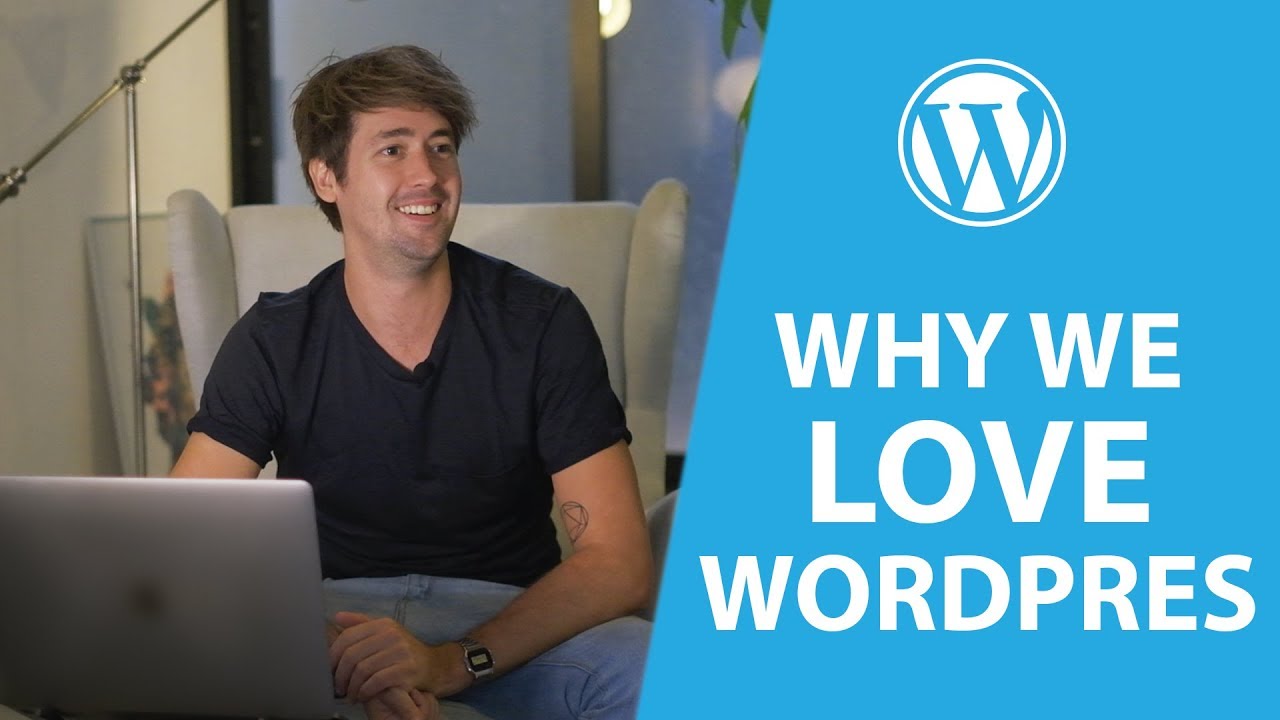 Professional WordPress Development Agency