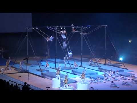 SWISS RINGS - FIG Gala at 14th World Gymnaestrada 2011 Lausanne