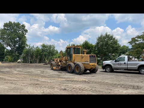 Milford Yard Cleaning