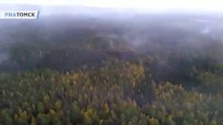 Горящая тайга в Томской области с высоты птичьего полета