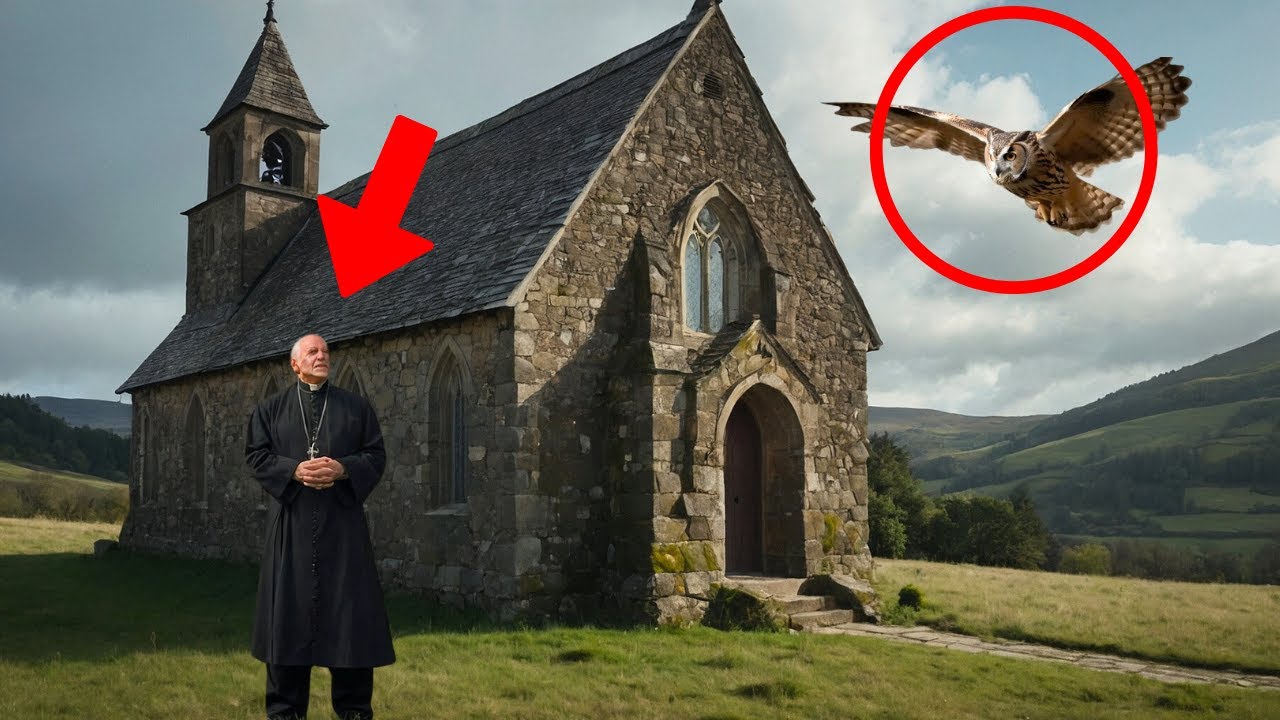 AN OWL FOLLOWS A PRIEST for WEEKS, and WHEN HE DISCOVERS THE TRUTH, HE CANNOT STOP CRYING