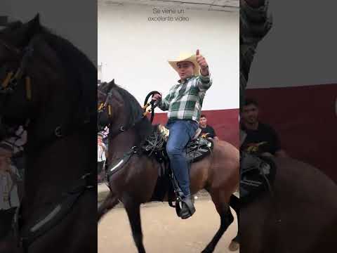 Va estar bueno el video de las ferias y fiestas en el Valle de San Juan-Tolima🤠🙏🏻