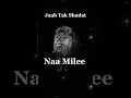 Pathan Status Pathan Attitude Status Pathan WhatsApp Status Pathan