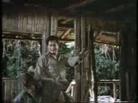 MISSING IN ACTION 2 - Deutscher Trailer