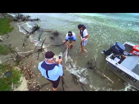 River Shark Fishing Queensland 2016
