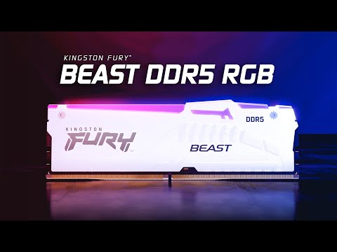 Модуль памяти DDR5 32GB/6000 Kingston Fury Beast RGB EXPO White (KF560C36BWEA-32)