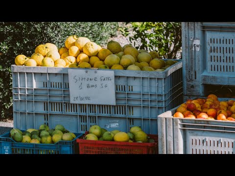 KUSMI TEA - Retrato de notre fournisseur d'huiles essentielles