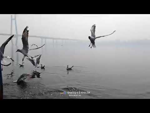 Nature ❣️❣️⛲