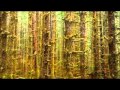 Norwegian Wood (Instrumental) 