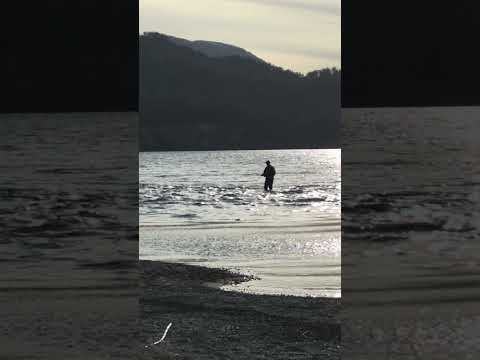 Pesca con mosca en desembocadura del río Bonito, Villa La Angostura, Neuquén, Patagonia, Argentina