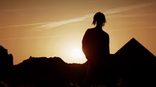 Cover art for phoenix