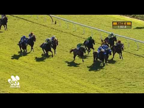 Belmont Park, 13/07/2016 - Race 6 - SCOTTISH TRADER - Clint Price & Troy Turner