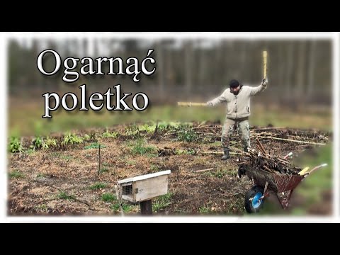 Tidying up the garden 4 - cultivated plot