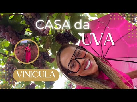 Será que tem vinho BOM no Goiás? #casadauva #vinicola #vinicolagoias #turismogoias  #passeioemgoias