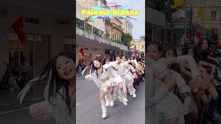 Download lagu Paloma Blanca with Baby Warriors!#shortviralvideos#trending#xuhuongyoutube#palomablanca#viral#shorts mp3