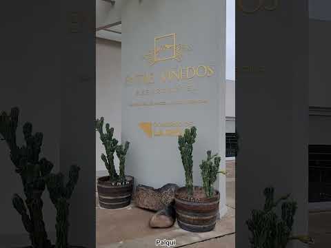 Entre Viñedos, San Blas de Los Sauces, La Rioja. #RN40 #Palqui