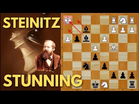STUNNING ! | Steinitz | Attacking Chess Games | Chess Master Academy (Malayalam)