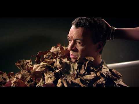 Blank Out: Interview with Michel van der Aa