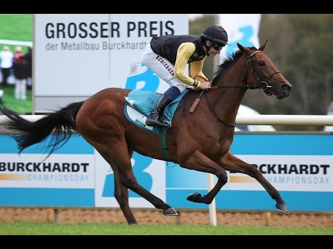 Hannover: Preis der Landesjägerschaft Niedersachsen (D) - Siegerin: Darasita