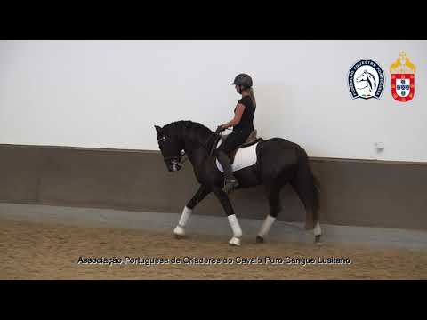 230417 7 Proj Ensino APSL&FEP - Malin Bowallius com Nababo