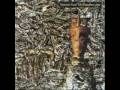 Head Cut - Siouxsie And The Banshees 