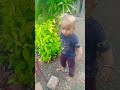Kombdi Palali Dj Sharvil Shorts Cutebaby Family Marathistatus