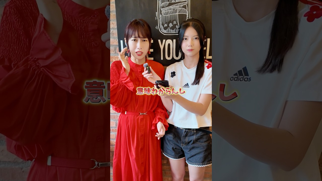 【衝撃】日本人にベトナム語教えたらブチ切れられた