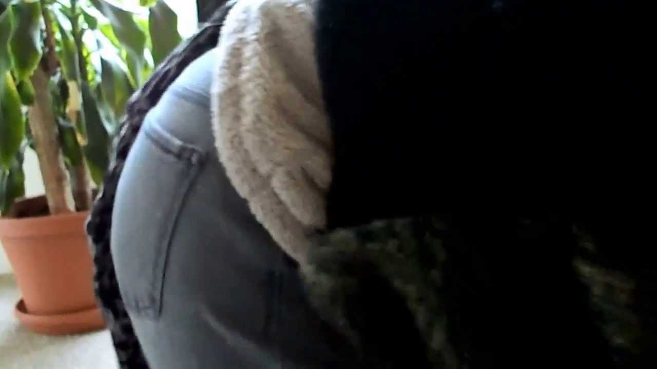 First World Cat Problems