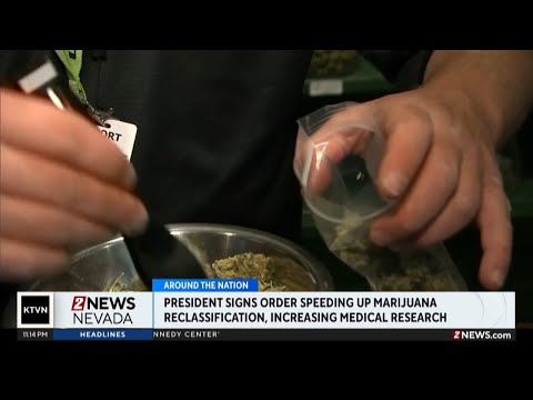 Nevada reaction to President Trump's marijuana executive order