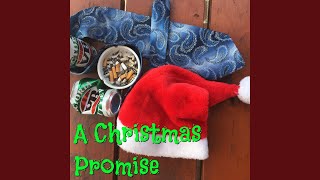 A Christmas Promise