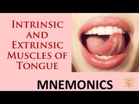 Muscles of the Tongue - With Mnemonics